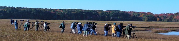 Birders at the Scarborough WMA