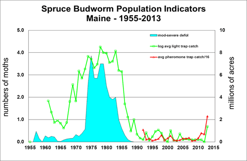 Spruce Budworm Population Indicators: Maine 1955-2013