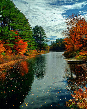 Foliage in the Moosehead Lake Area