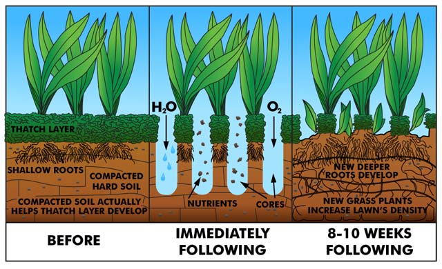 How Core Aeration Works