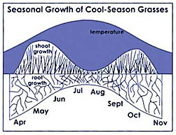 Seasonal Growth of Cool Season Grasses (Graph)