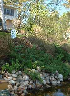 LakeSmart sign in well vegetated sloping shorefront