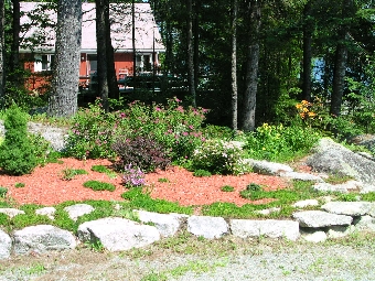 Garden with large rocks and colorful flowers