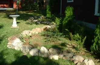 native plants bordered with rocks