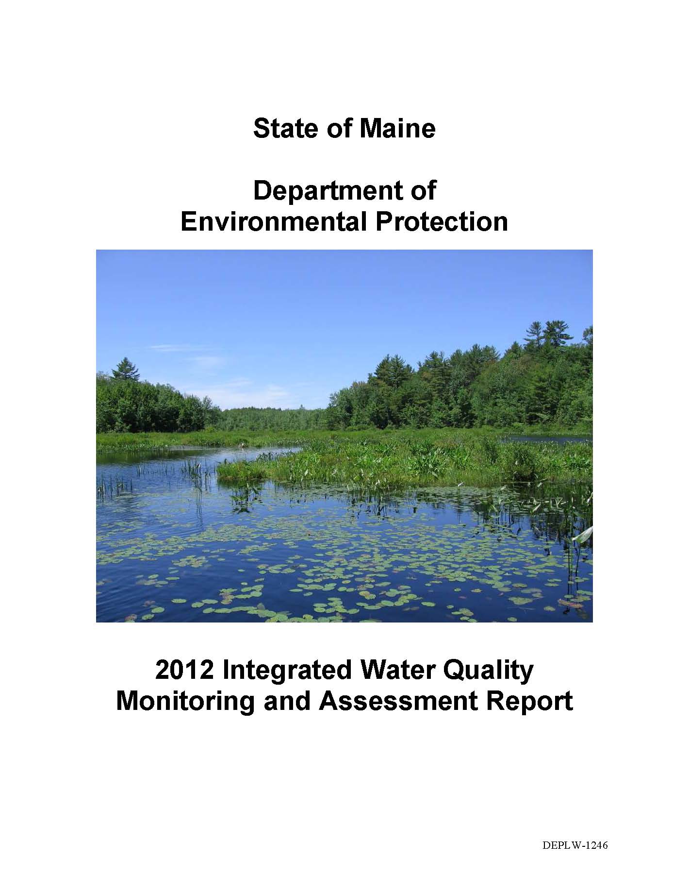 Picture: cover of draft 305(b) report