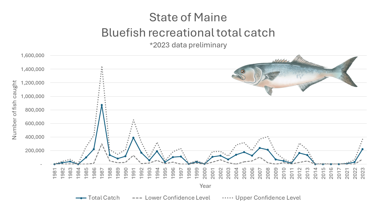 Bluefish Recreational Harvest Estimated Numbers Caught