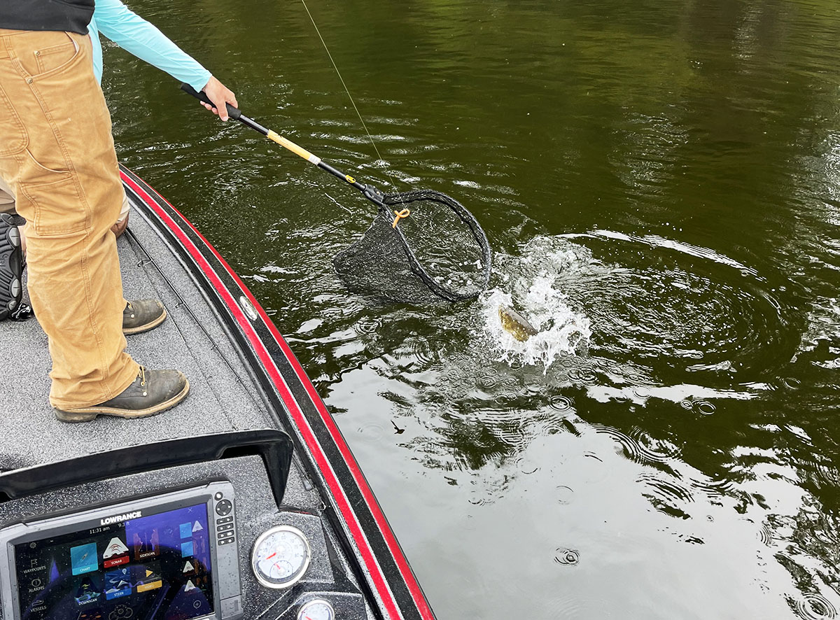 A bass is reeled in and captured by fishing net.