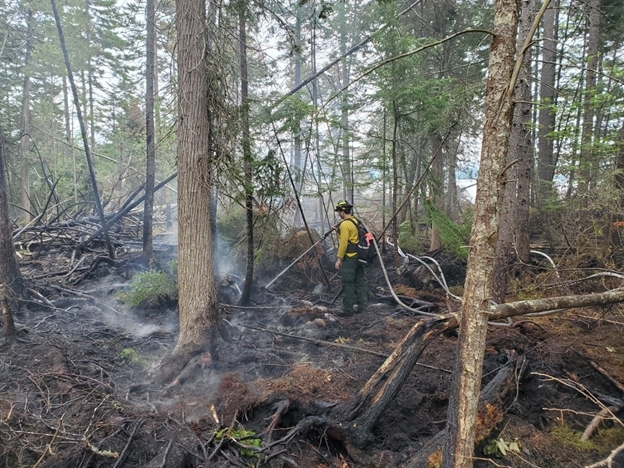 2021 Agriculture Trade Show: Maine Forest Service: Maine ACF