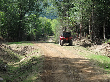 New atv trail surrounded by trees.