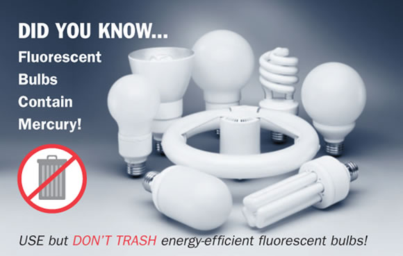 did you know fluorescent bulbs contain mercury