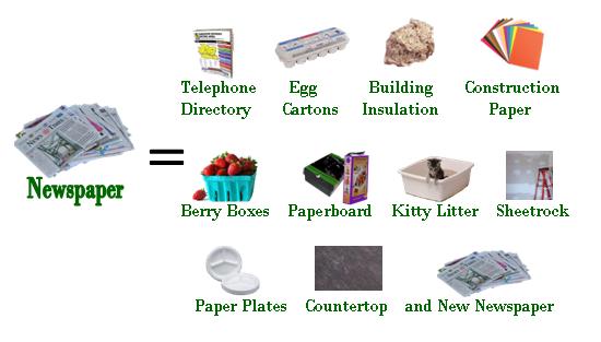 What Your Recyclables Become