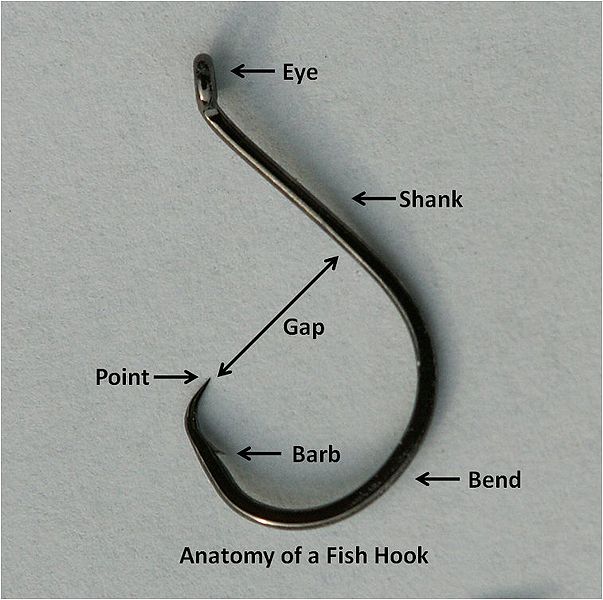 Tips for Using Circle Hooks  Department of Marine Resources