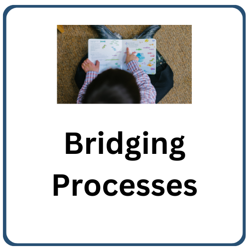 Bridging Processes home page button