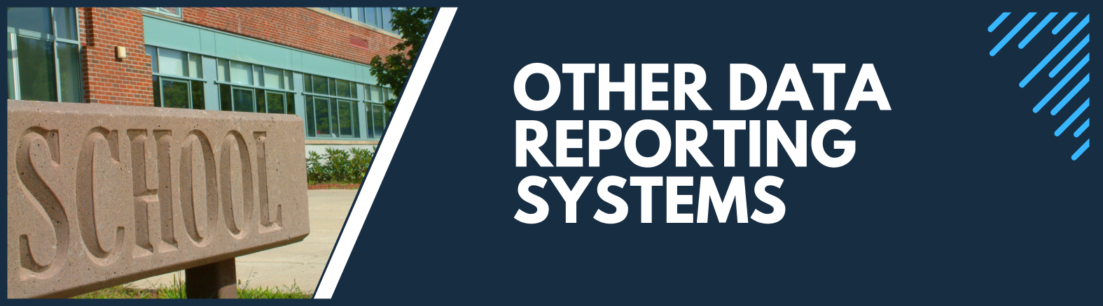 Other Data Reporting Banner