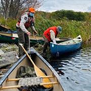 Photo of wardens gathering abandoned decoys