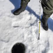 angler jigging through the ice