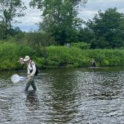 MDIFW Biologists conducting wood turtle surveys