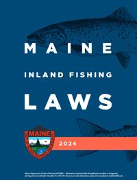 Bait Dealers and Use of Baitfish: Laws & Rules: Fishing: Fishing & Boating:  Maine Dept of Inland Fisheries and Wildlife