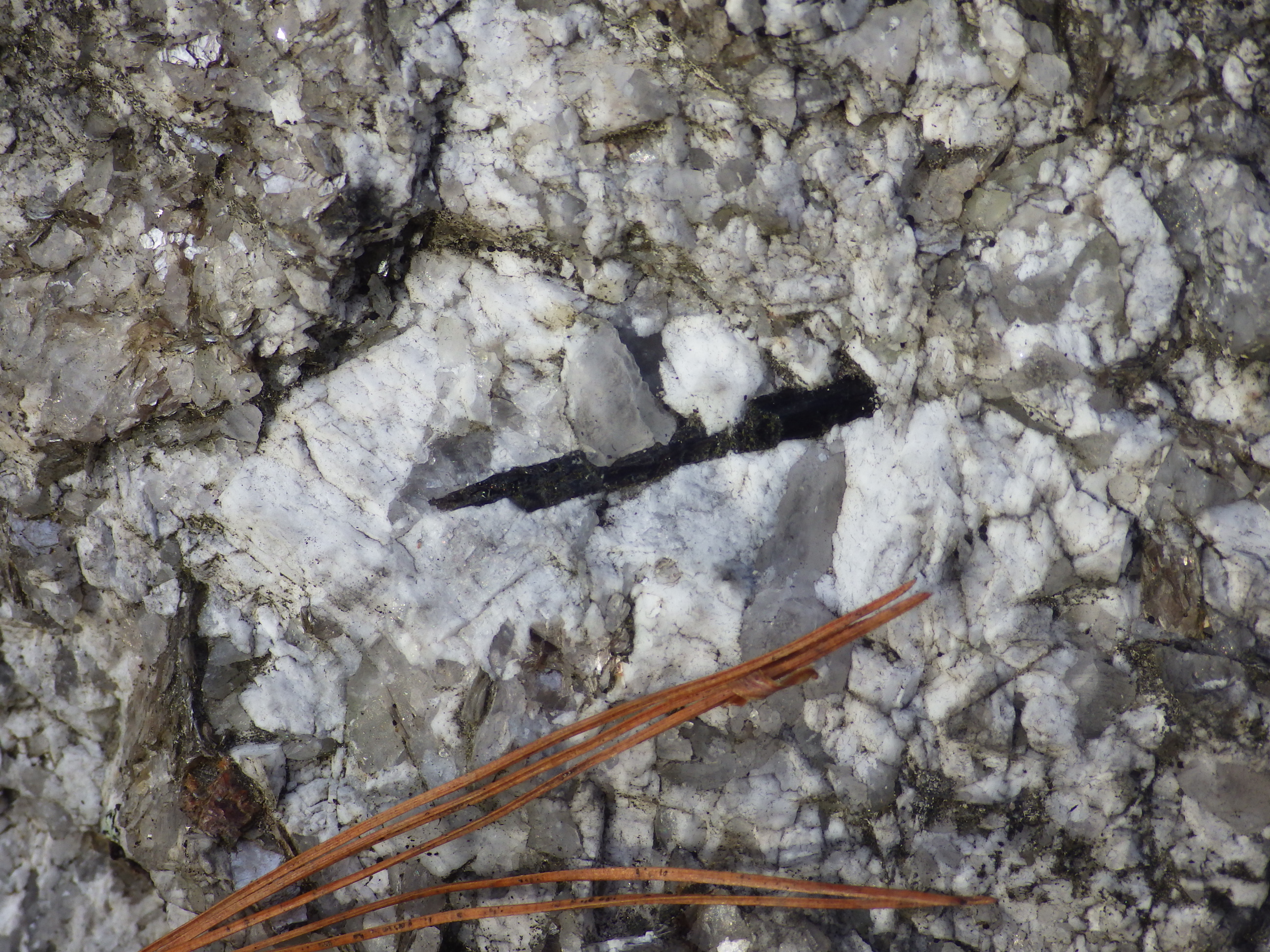 The state rock in granitic pegmatite. Photo by Henry Berry and the Maine Geological Survey