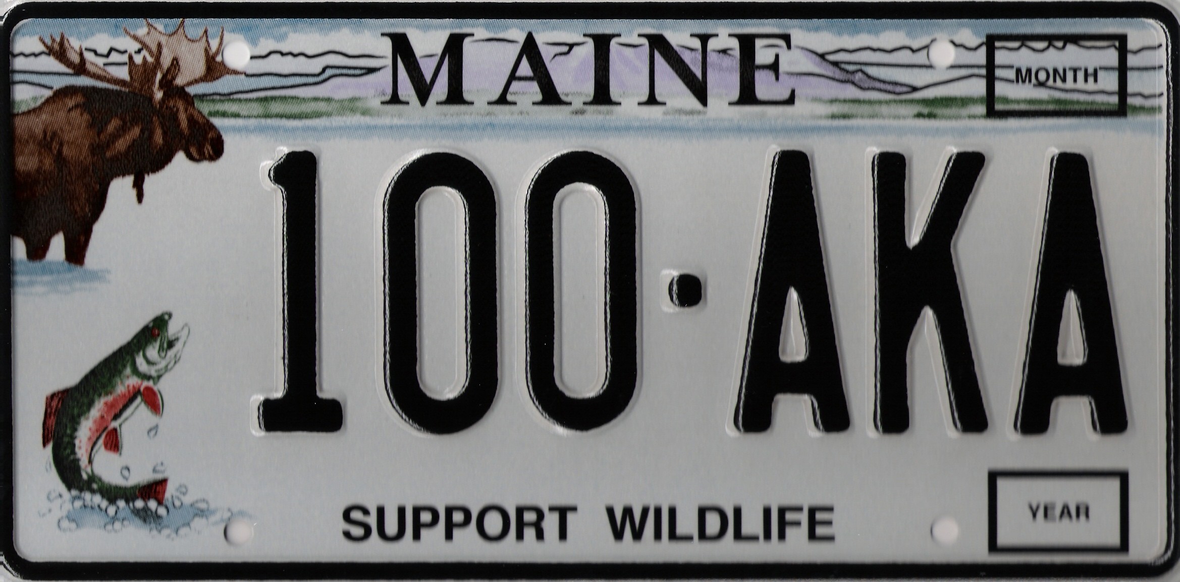Maine License Plates | Maine Secretary of State Kids' Page